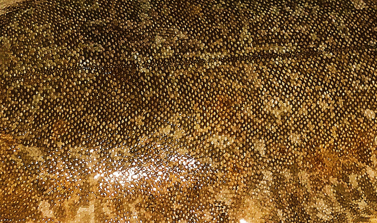 Fish Textures FISH - TEXTURES (1) – Frederique Beccari