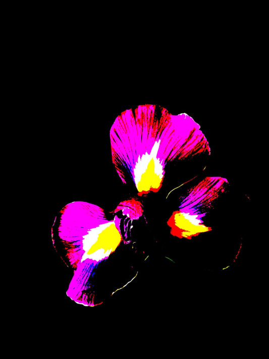 4588-OCE-S-BLACK-PSYCHEDELIC