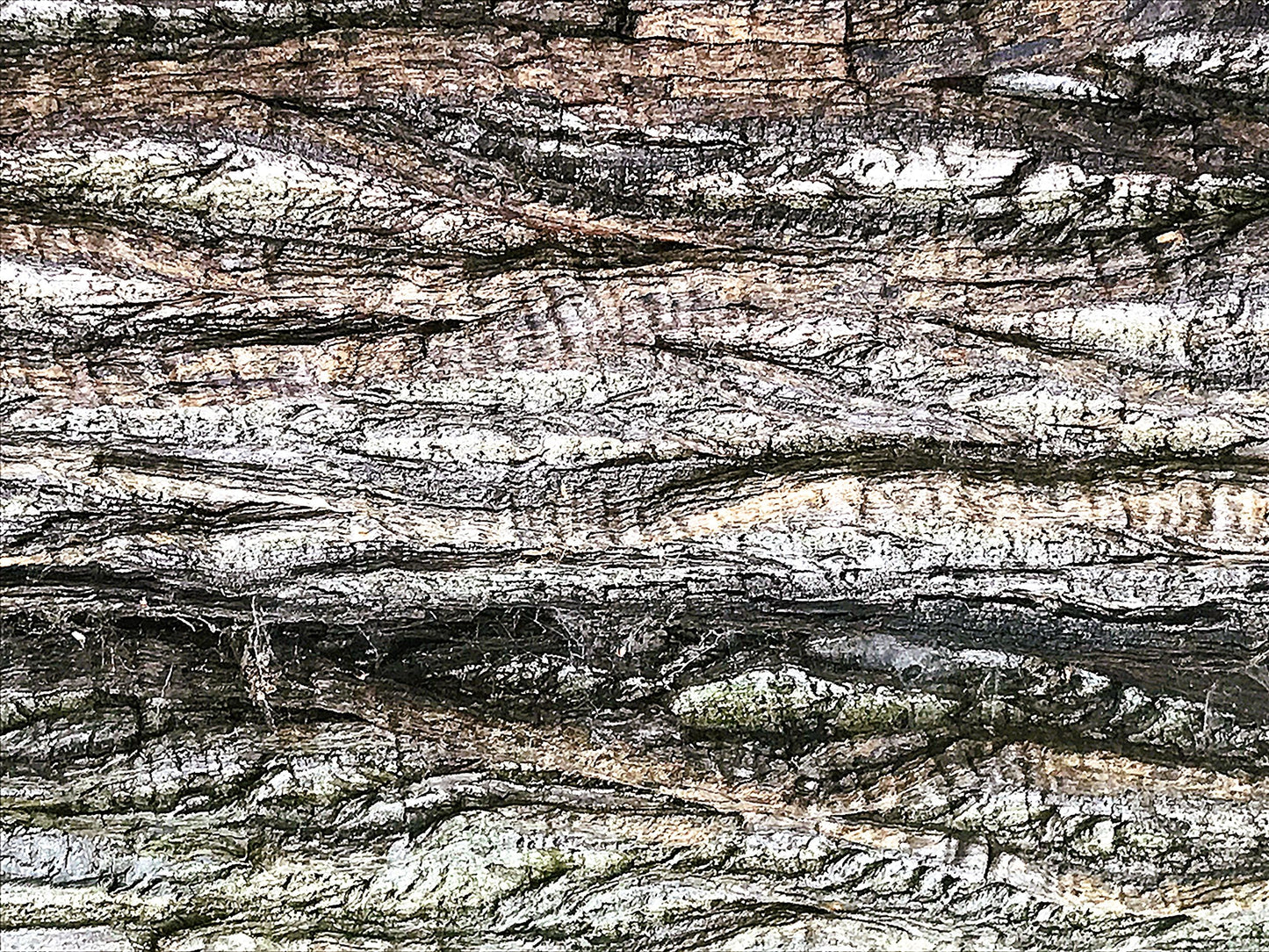 9394-OCE-S-WARM-PAINTING