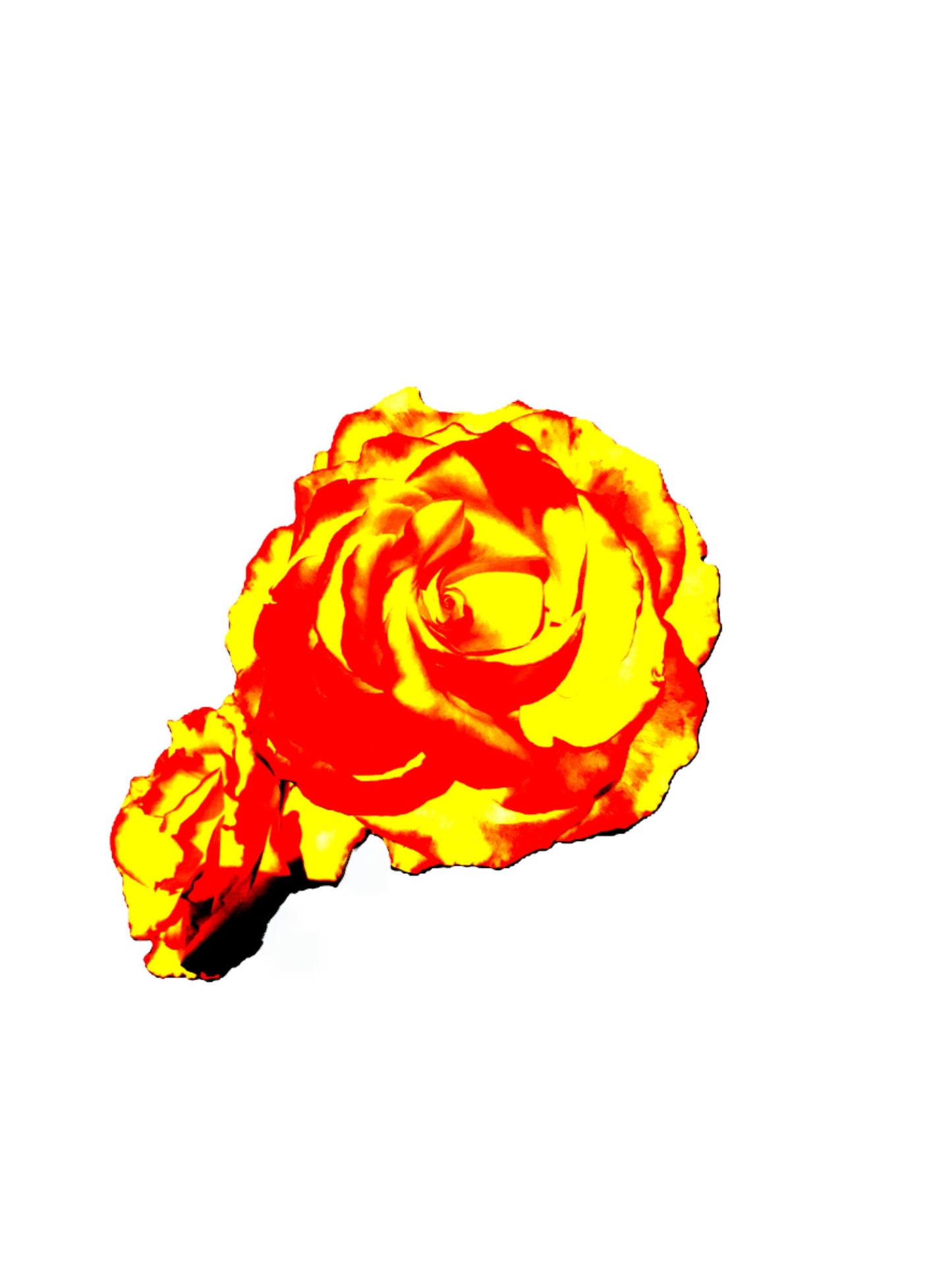 5367-OCE-TANGERINE-  WHITE PSYCHEDELIC